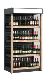 SELECTED ALCOHOL / TYPE 1