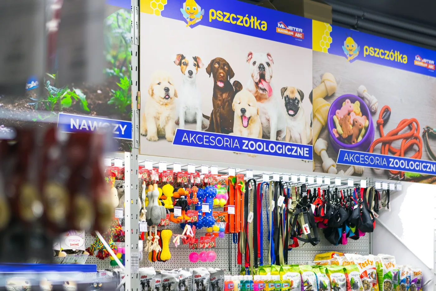 Pszczółka